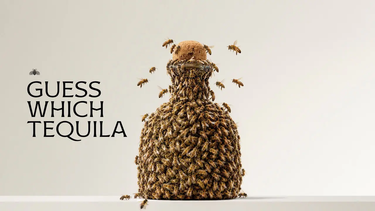 PATRÓN® TEQUILA Continues its Transparency Campaign, Asking Drinkers What's Actually in their Tequila
